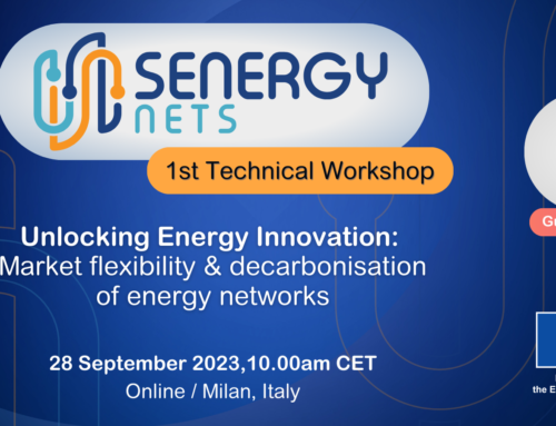 FEDECOM will join the 1st Technical Workshop organised by the SENERGY NETS project – 28/09/2023